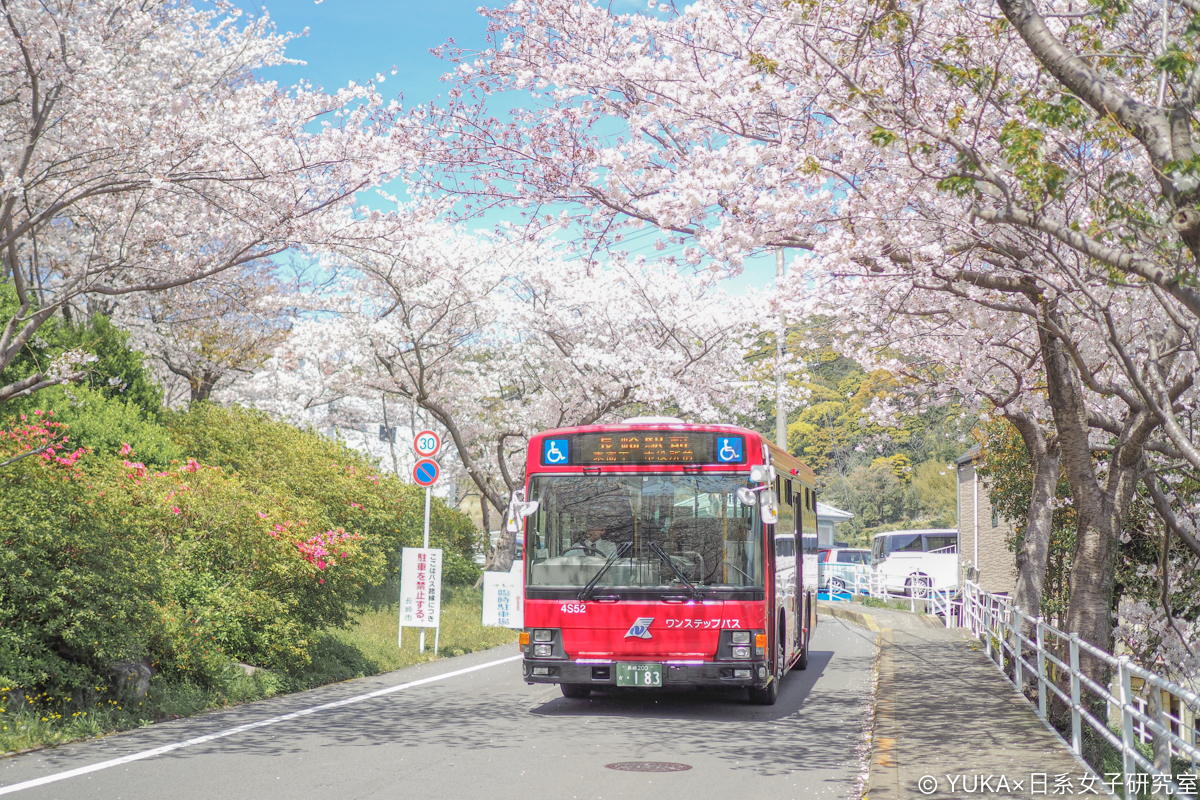 長崎櫻花-立山公園交通巴士